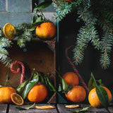 Candle - Citrus Balsam