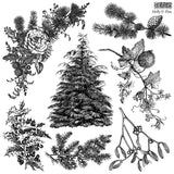 IOD Clear Stamps - Holly & Pine