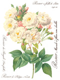 IOD Full Colour Transfer - Rose Botanical IOD Transfer