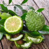 Candle -  Bergamot & Fir