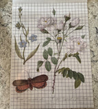 IOD Full Colour Transfer -  Brocante