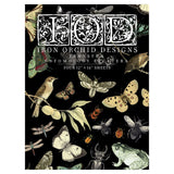 IOD Full Colour Transfer - Entomology Etcetera