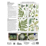 IOD Full Colour Transfer - Fronds Botanical