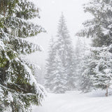 Candle - Winter Storm