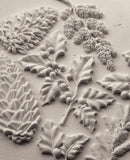 Winter Forage
