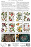 IOD Full Colour Transfer - Clementine