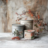 IOD Full Colour Transfer - Winter Botanist