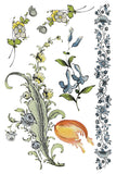 IOD Full Colour Transfer - Fairy Tale Florals