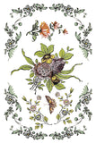 IOD Full Colour Transfer - Fairy Tale Florals