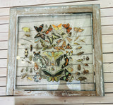 Bug and Butterfly Transfer Window