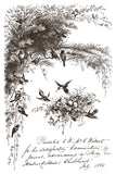 IOD Paint Inlays - Little Lark
