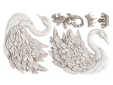 Swans