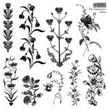 IOD Clear Stamps - The Connoisseur's Library