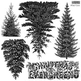 IOD Clear Stamps - Winter Grove