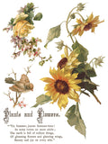 IOD Full Colour Transfer - Flowers By The Poets