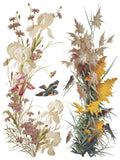 IOD Full Colour Transfer - Flowers By The Poets