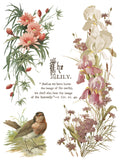 IOD Full Colour Transfer - Flowers By The Poets
