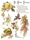 IOD Full Colour Transfer - Flowers By The Poets