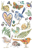 IOD Full Colour Transfer - Fern Fables
