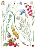 IOD Full Colour Transfer - Marché des Fleurs