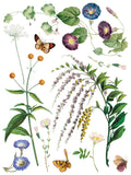 IOD Full Colour Transfer - Marché des Fleurs