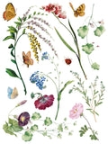 IOD Full Colour Transfer - Marché des Fleurs