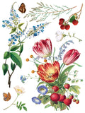 IOD Full Colour Transfer - Marché des Fleurs