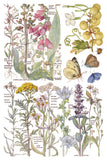 IOD Full Colour Transfer - Primrose Isle