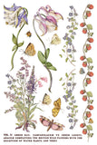 IOD Full Colour Transfer - Primrose Isle
