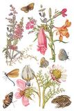 IOD Full Colour Transfer - Primrose Isle