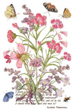 IOD Full Colour Transfer - Primrose Isle