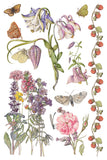 IOD Full Colour Transfer - Primrose Isle