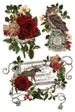 IOD Full Colour Transfer - Stag Tavern