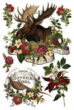 IOD Full Colour Transfer - Stag Tavern