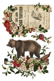 IOD Full Colour Transfer - Stag Tavern