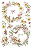 IOD Full Colour Transfer - The Bramblewood Diaries