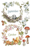 IOD Full Colour Transfer - The Bramblewood Diaries
