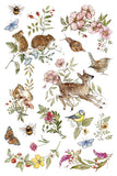 IOD Full Colour Transfer - The Bramblewood Diaries