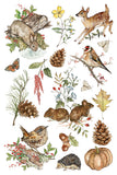 IOD Full Colour Transfer - The Bramblewood Diaries