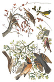 IOD Full Colour Transfer - Winter’s Calling
