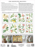 IOD Full Colour Transfer - Rose Botanical IOD Transfer