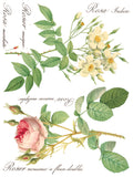 IOD Full Colour Transfer - Rose Botanical IOD Transfer