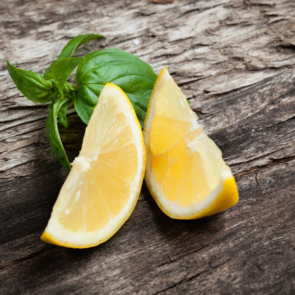 Candle - Citrus Basil