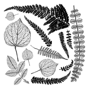 IOD Clear Stamps - Fronds